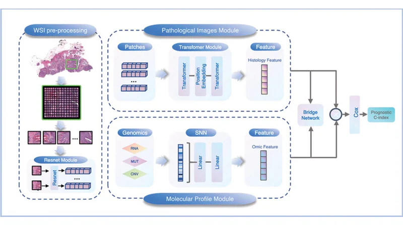 Overall Workflow