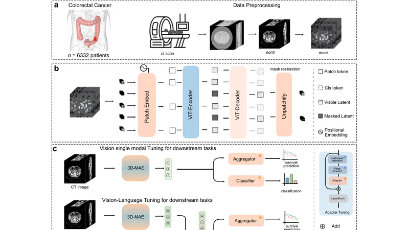 CRCFound framework overview