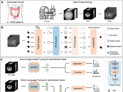 CRCFound featured image