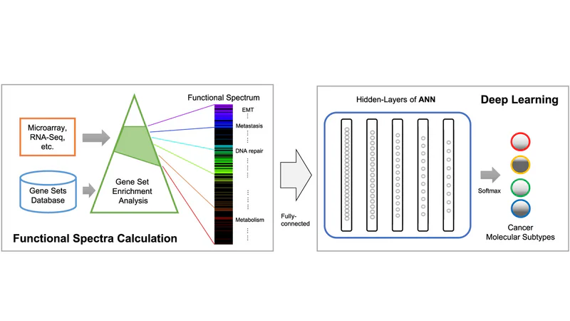 DeepCC functional spectra and molecular subtype workflow