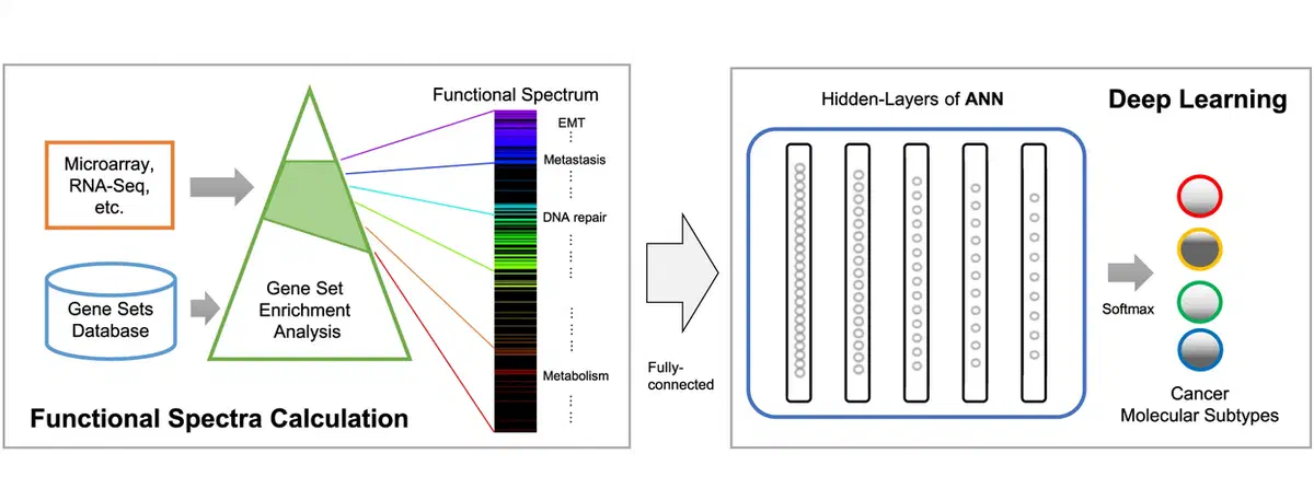 DeepCC functional spectra and molecular subtype workflow
