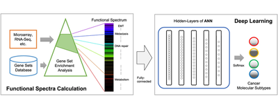 DeepCC featured image