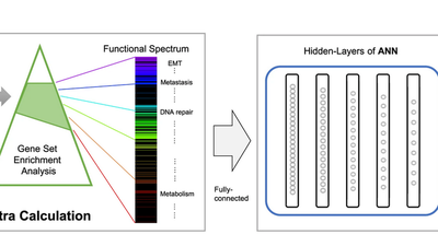DeepCC featured image