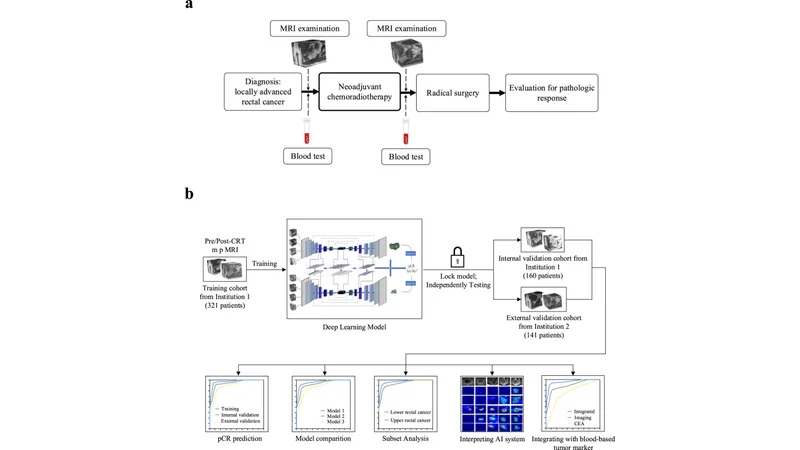 Figure 1. Clinical workflow and 3D RP-Net study design (CC BY 4.0)