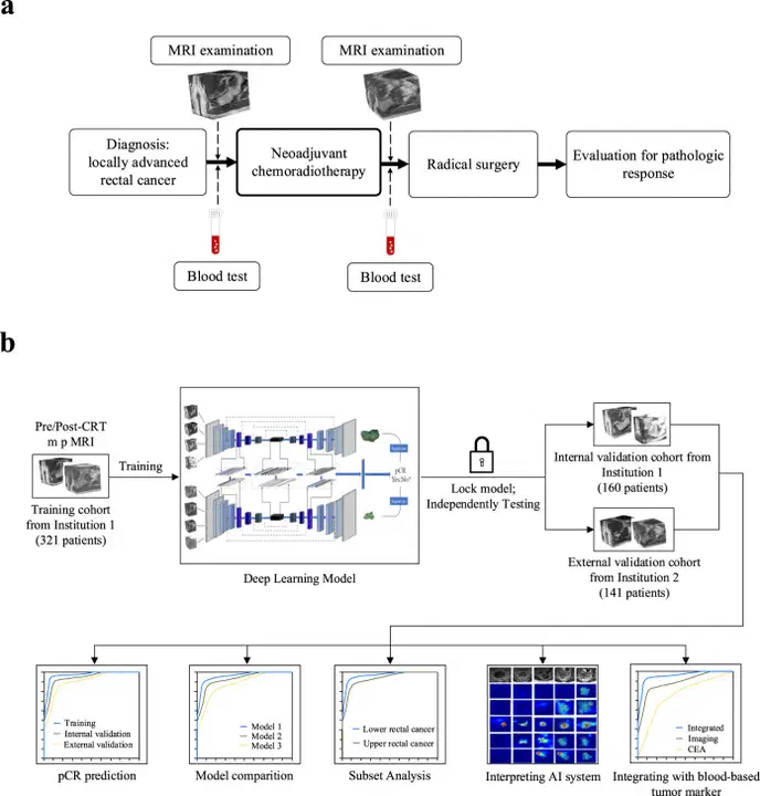 Figure 1. Clinical workflow and 3D RP-Net study design (CC BY 4.0)