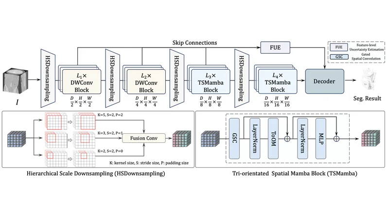 SegMamba-V2 architecture and tri-orientated spatial Mamba block