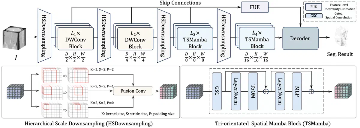 SegMamba-V2 architecture and tri-orientated spatial Mamba block