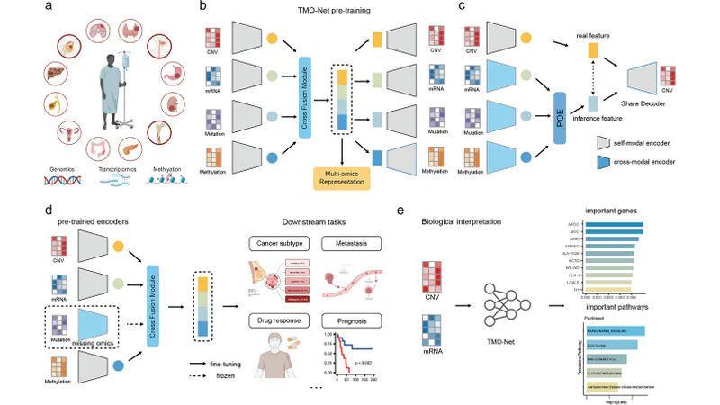 Figure 1. Overview of the TMO-Net model (CC BY 4.0)