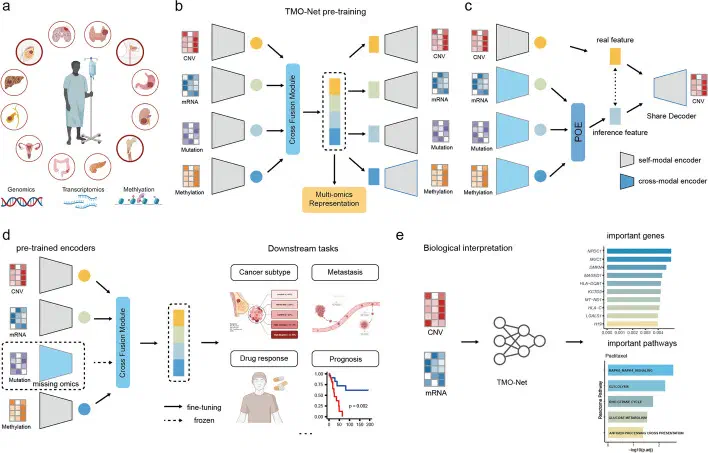 Figure 1. Overview of the TMO-Net model (CC BY 4.0)